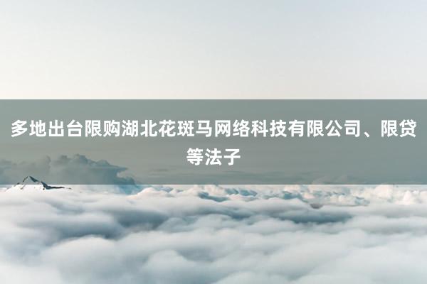 多地出台限购湖北花斑马网络科技有限公司、限贷等法子